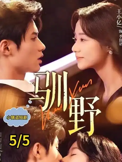 雪落无声 热播电视剧全集在线观看
